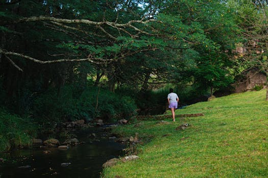 Image of a peaceful nature scene for mindful walking